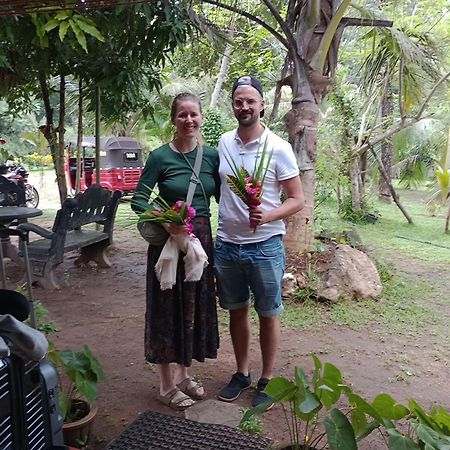 Jungle Eco Lodge & Safari 锡吉里亚 外观 照片