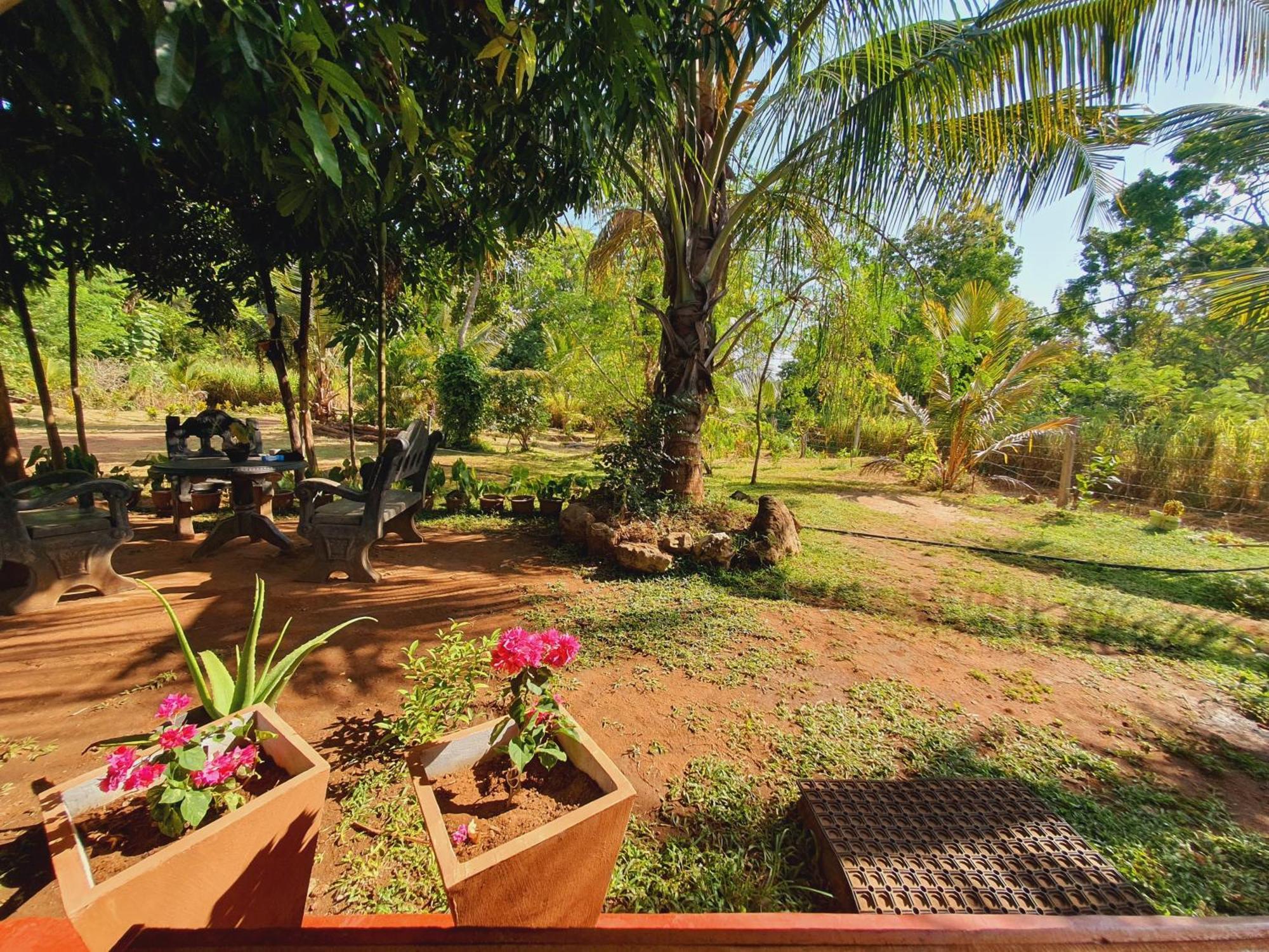 Jungle Eco Lodge & Safari 锡吉里亚 外观 照片
