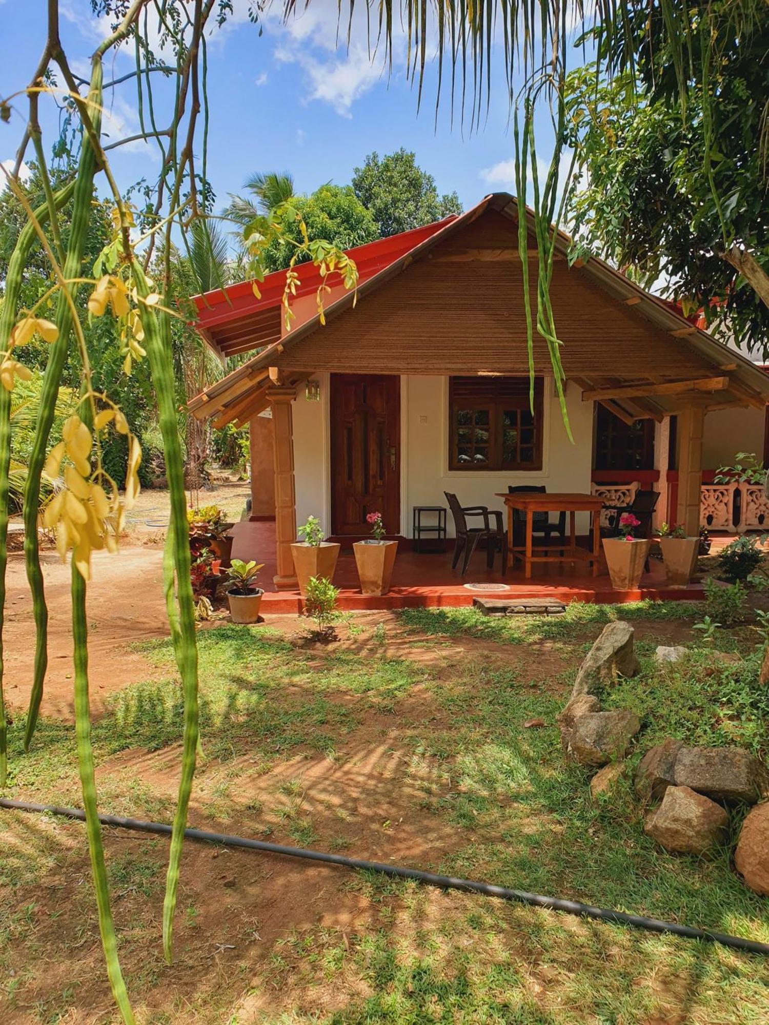 Jungle Eco Lodge & Safari 锡吉里亚 外观 照片