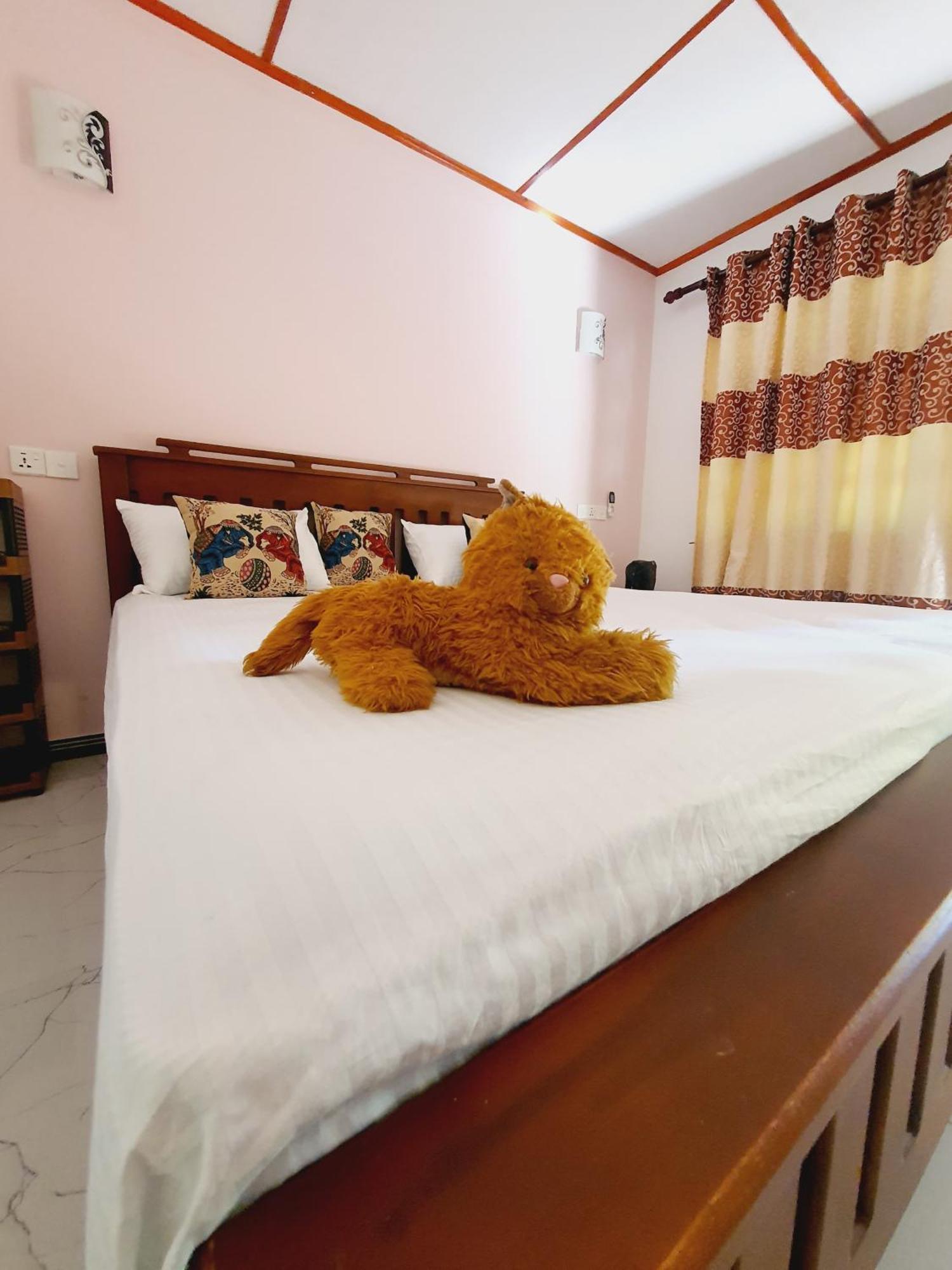 Jungle Eco Lodge & Safari 锡吉里亚 外观 照片