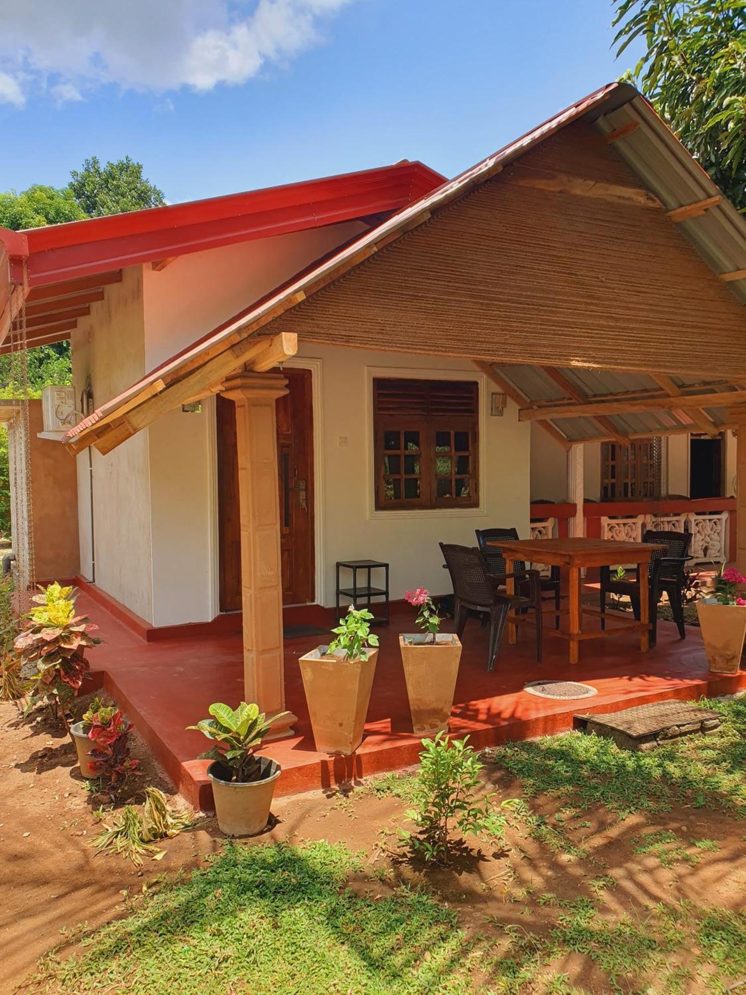 Jungle Eco Lodge & Safari 锡吉里亚 外观 照片