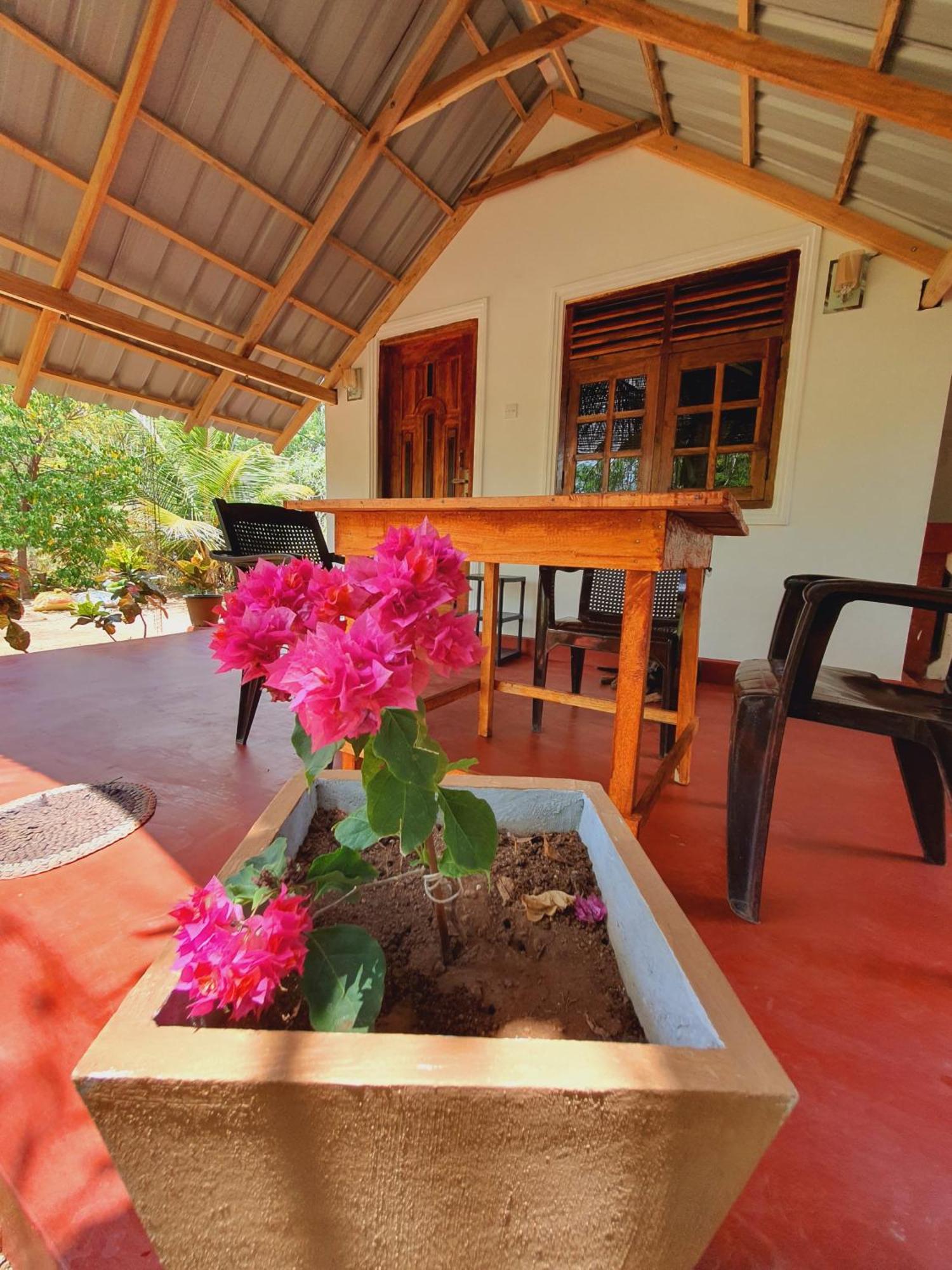 Jungle Eco Lodge & Safari 锡吉里亚 外观 照片