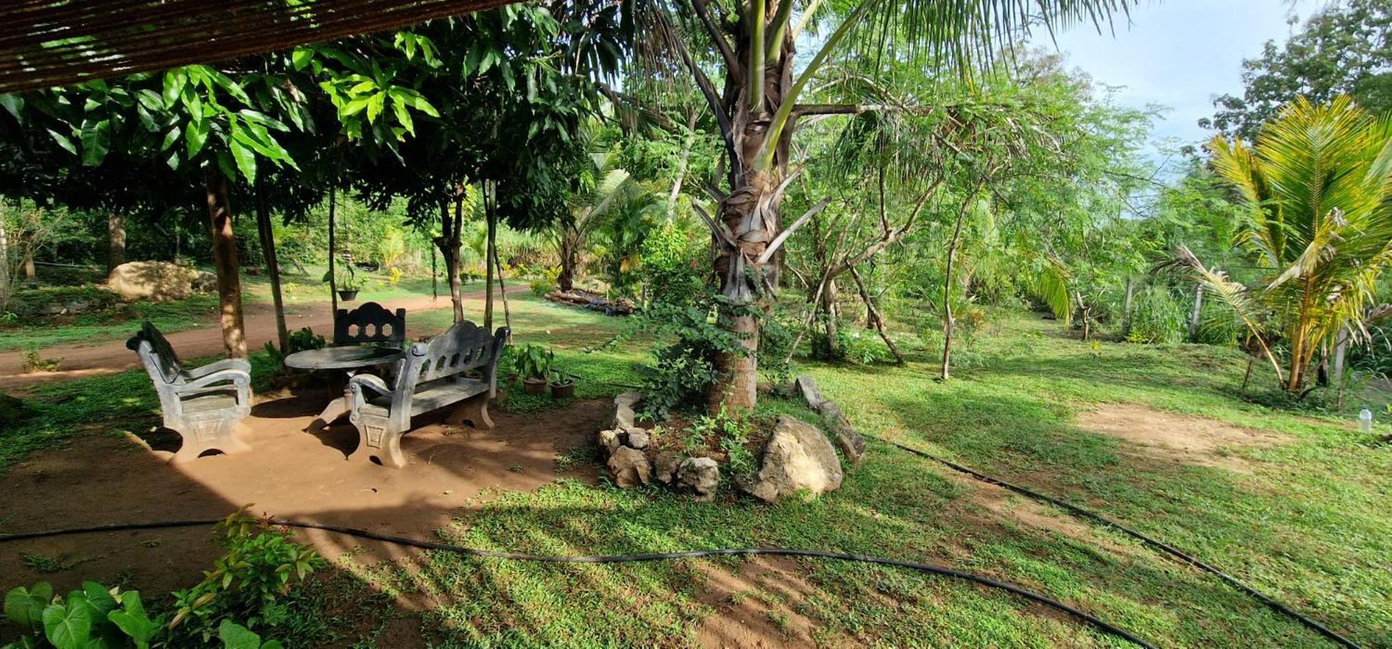 Jungle Eco Lodge & Safari 锡吉里亚 外观 照片