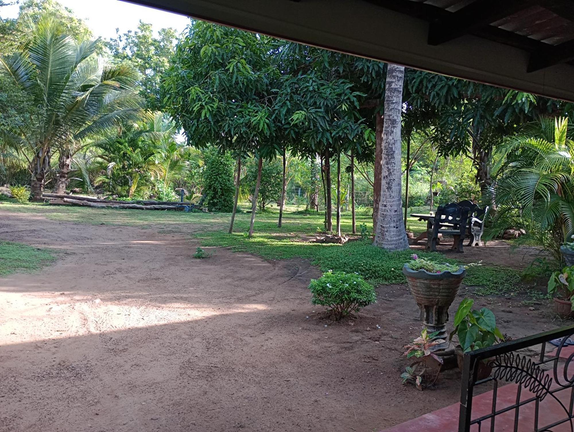 Jungle Eco Lodge & Safari 锡吉里亚 外观 照片