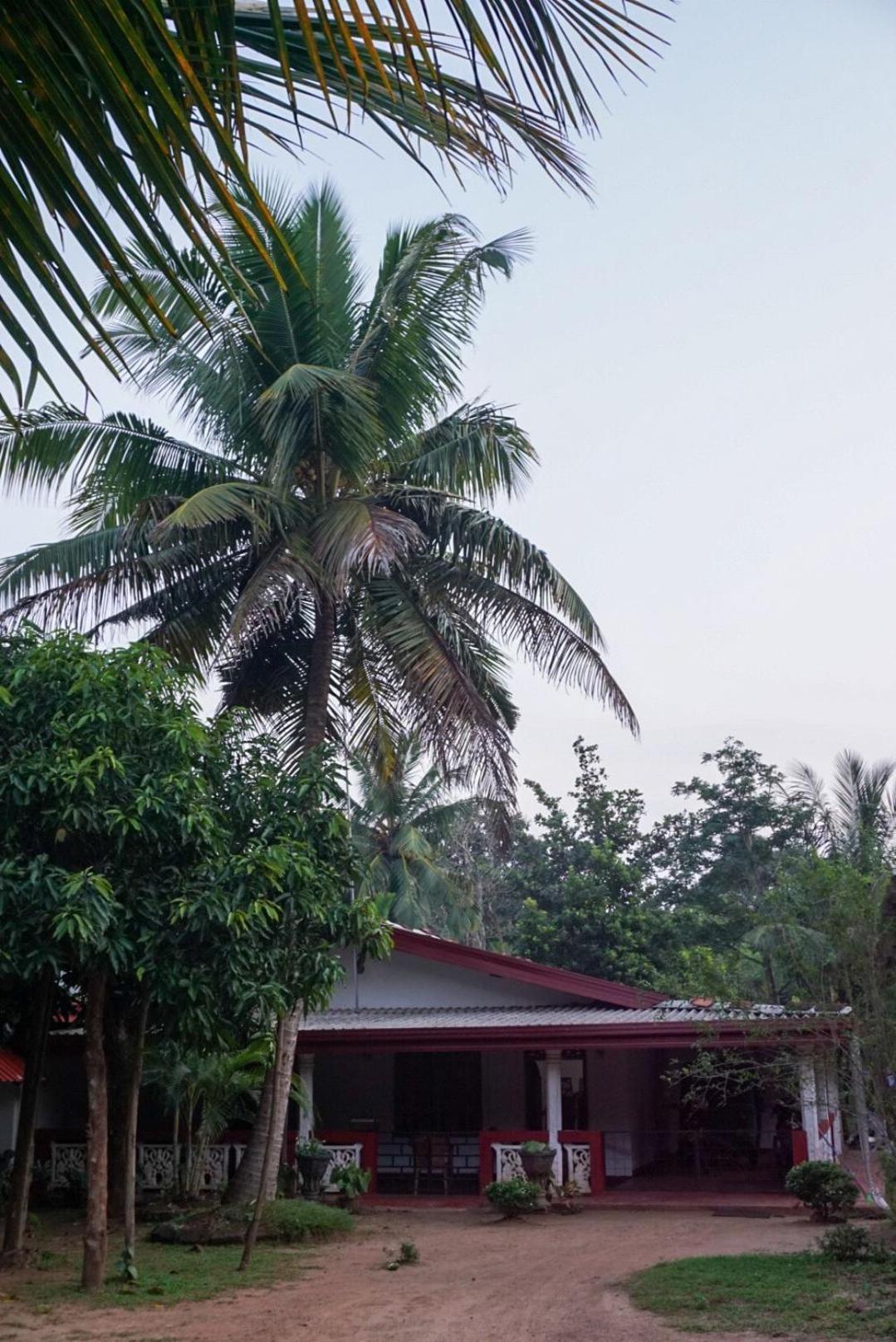 Jungle Eco Lodge & Safari 锡吉里亚 外观 照片