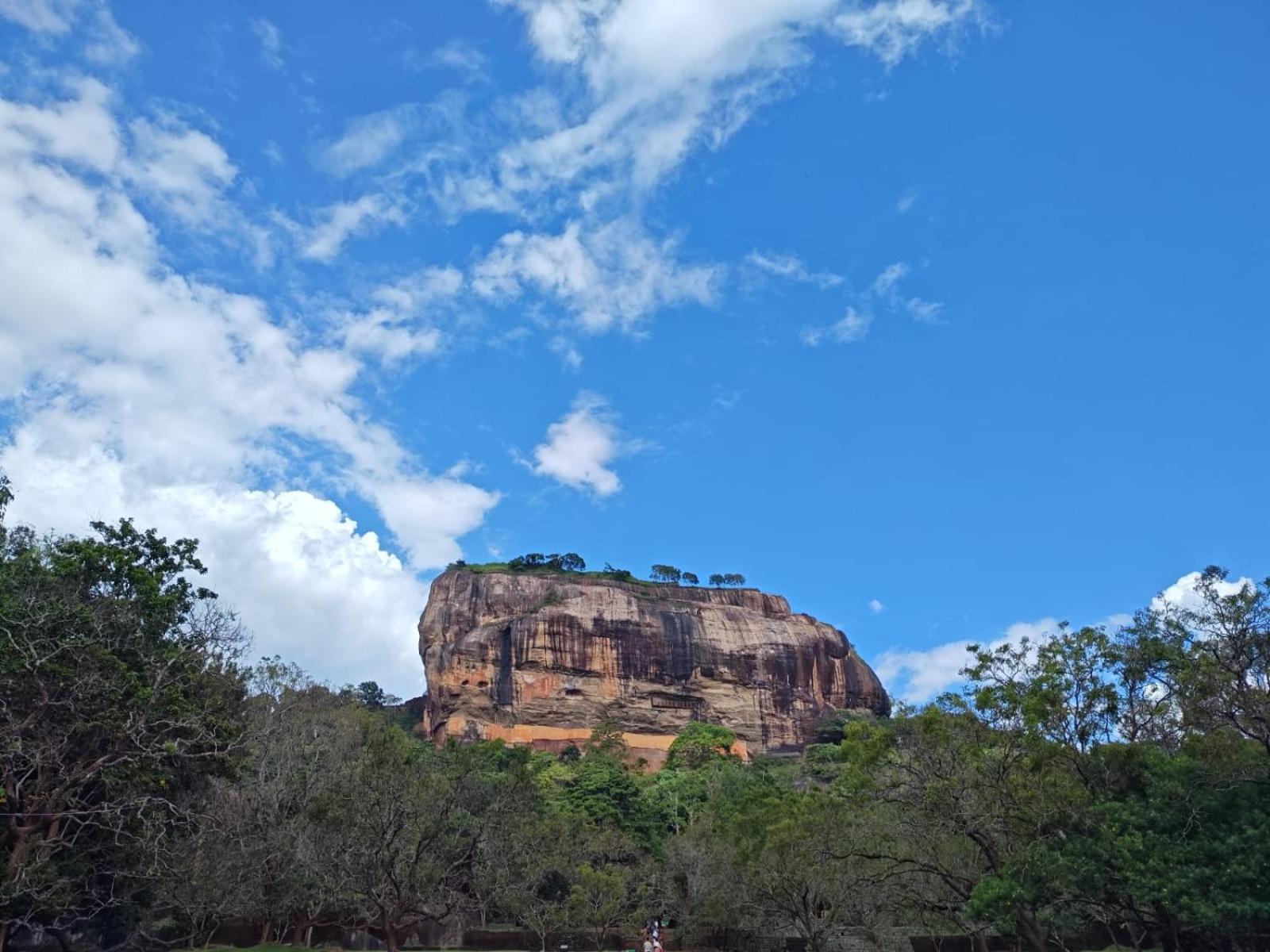 Jungle Eco Lodge & Safari 锡吉里亚 外观 照片